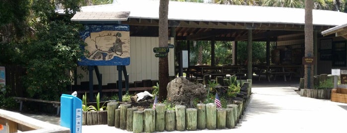 Smyrna Dunes Park is one of Locais curtidos por Lizzie.