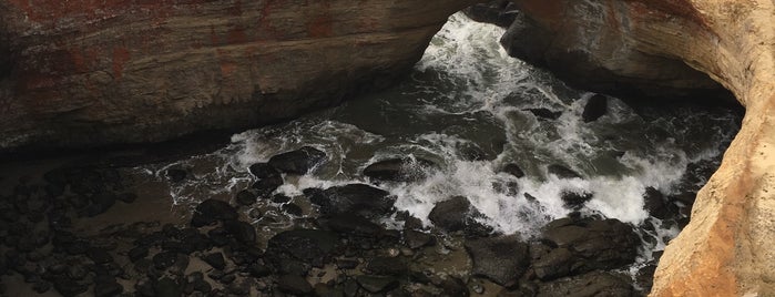 Otter Rock is one of สถานที่ที่ Andrew ถูกใจ.