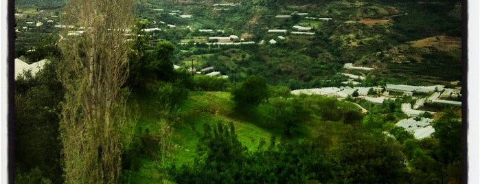 Bahçe is one of Lieux qui ont plu à Yunus.