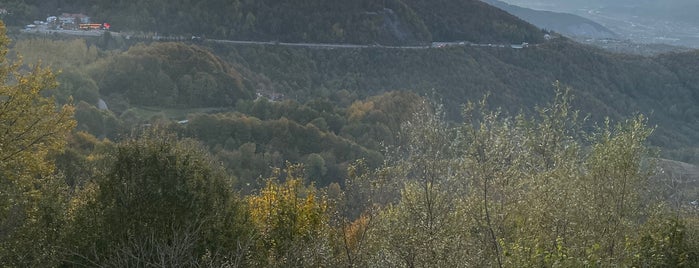 Bolu Dagı Kurunun Yeri Et Mangal is one of Mustafa : понравившиеся места.