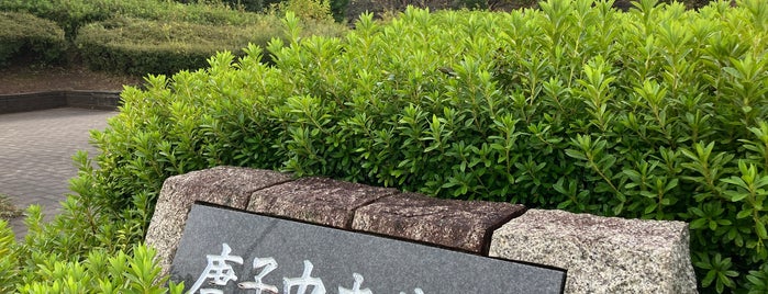 唐子中央公園 is one of 公園_埼玉県.