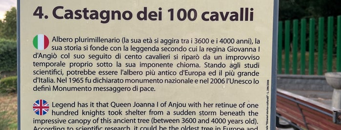 Castagno dei Cento Cavalli is one of Luoghi 'nginiusi!!!.
