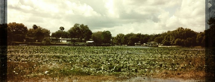 Inverness, FL is one of Florida Cities.