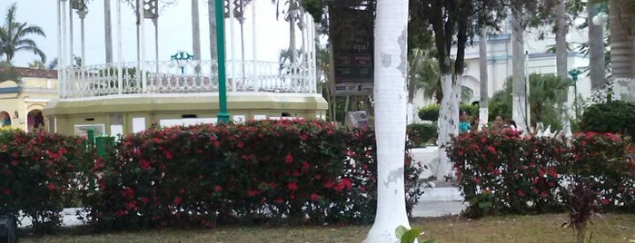 Zocalo Tlacotalpan is one of Tempat yang Disukai Vane.