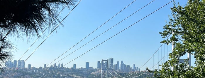 Zippline Nakkaştepe is one of Istanbul with family.