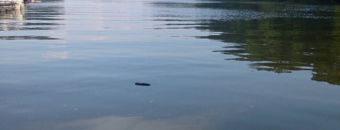 Rocky Fork State Park is one of Bill’s Liked Places.