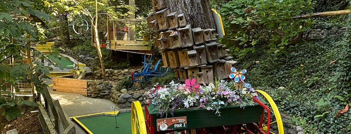 Hillbilly Golf is one of Fave Places in the Smokies.