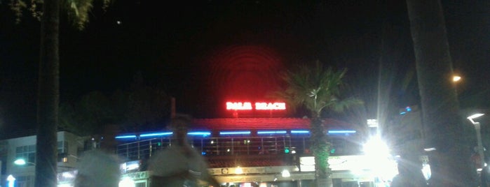 Palm Beach Club is one of Altinkum Bars Clubs.