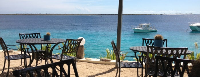 Buddy Dive Resort Bonaire is one of Tempat yang Disukai Ann.