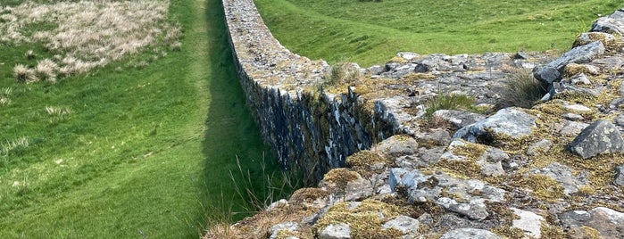 Planetrees Roman Wall - Hadrian's Wall is one of Anglie.