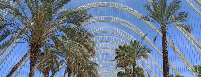 Umbracle is one of Valencia, Spain.