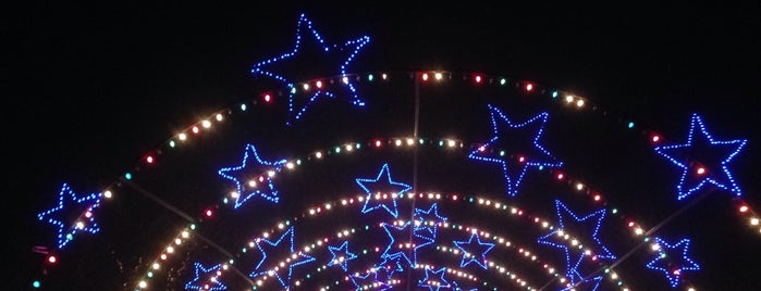 Zilker Park Trail of Lights Preview is one of Lia’s Liked Places.