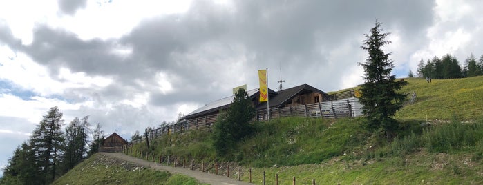 Grosseck-Speiereck is one of ski areas.