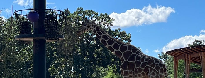 Giraffe House is one of Minneapolis.