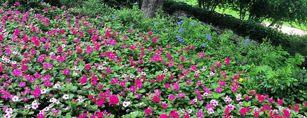 Fort Worth Botanic Garden is one of Lieux sauvegardés par Daniel.