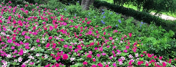 Fort Worth Botanic Garden is one of Batya's Saved Places.