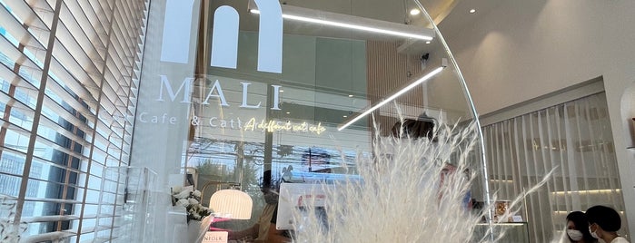 Malila Cafe is one of From IG 泰国.