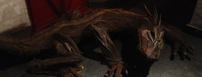 Lizard King is one of Lugares favoritos de Pawel.