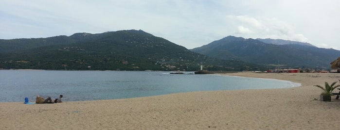Corse