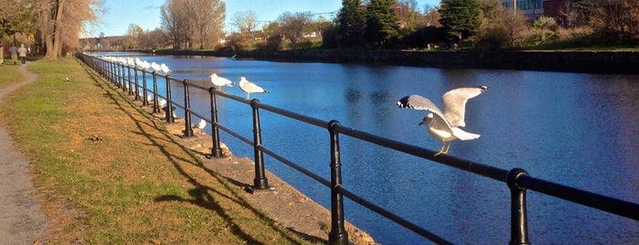 Canal-de-Lachine is one of montreal vacation.