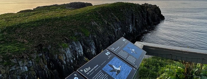 Borgarfjarðarhöfn is one of Fun to do in Iceland.