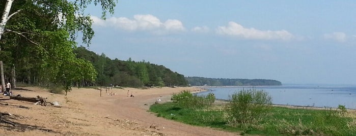 Пляж Серово is one of Lieux qui ont plu à Lena.