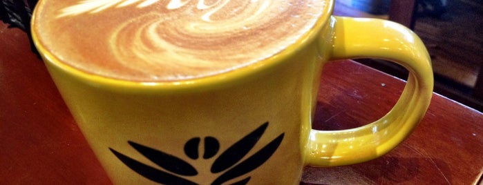 The Green Sage Coffeehouse & Cafe is one of The 15 Best Places for Espresso in Asheville.