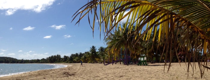 Playa Sun Bay is one of Locais curtidos por Jeremy Scott.