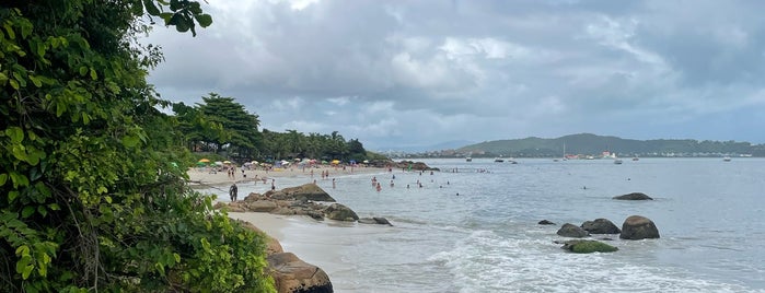 Praia de Canajurê is one of praias floripa.