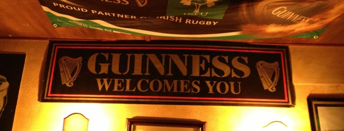 Shamrock Irish Pub is one of Rome.