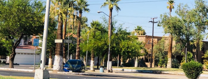 Parque Jardines del Valle is one of Locais curtidos por Armando.