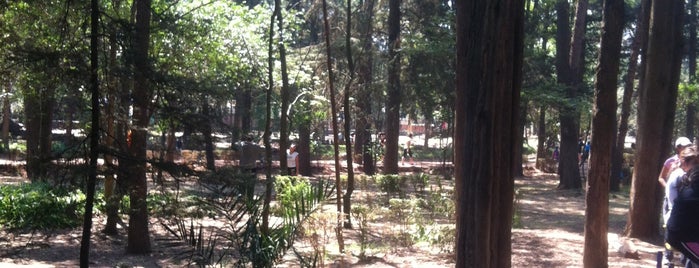 Circuito Bosque de Tlalpan is one of Parques.