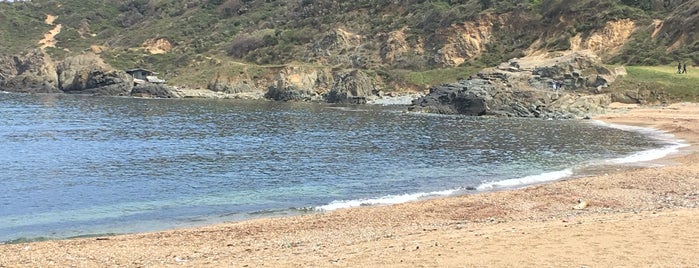 Milyon Beach is one of Tempat yang Disukai Hatice.