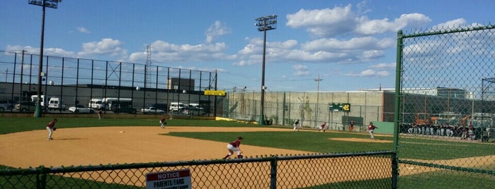 Castle Hill Little League Field is one of Posti che sono piaciuti a Lou The Chef.