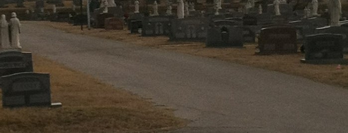 Most Holy Redeemer Cemetery is one of Baltimore Metro Cemeteries.