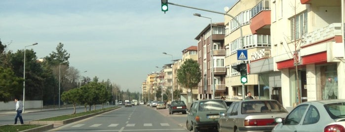 Mehmetçik is one of Orte, die İLKER gefallen.
