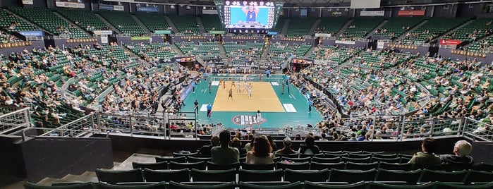 Stan Sheriff Center is one of NCAA Division I Basketball Arenas/Venues.