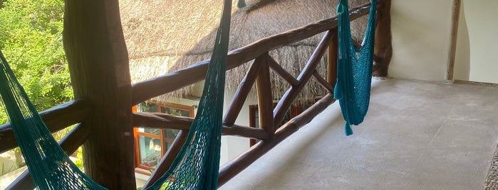 Casa Iguanas is one of Holbox.