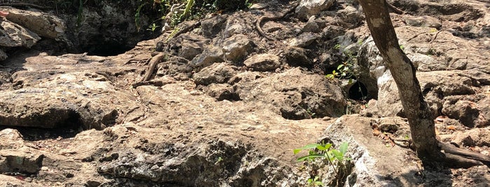 Cenote Calavera is one of Tulum.