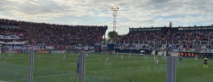 Estadio Don José Dellagiovanna (Tigre) is one of Equipos de 1ra División.