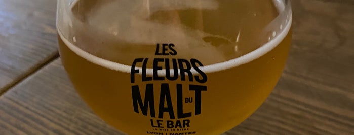 Les Fleurs du Malt is one of Lyon.