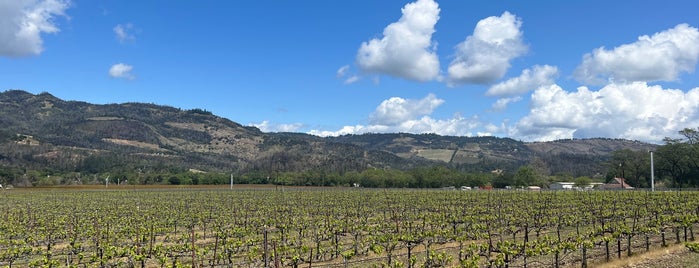 Madrigal Family Winery is one of Napa Wineries.