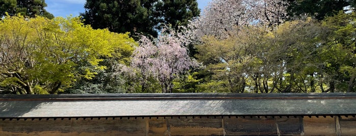 Ryoan-ji Rock Garden is one of Kyoto-Japan.
