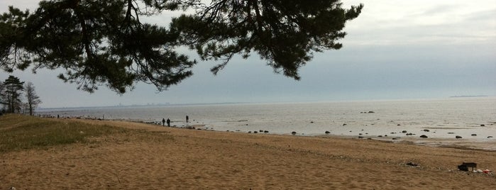 Komarovo Beach is one of Kurortnyy area in SPb.