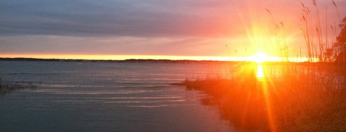 Isle Of Wight Nature Park is one of Arnさんのお気に入りスポット.