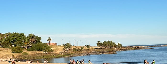 Playa del Puertito del Buceo is one of To do: Uruguay.