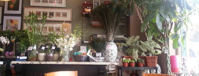 Sun Café & Flowers is one of No town like O-Town: Indie Coffee Shops.