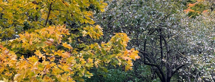 Яблоневый сад is one of Для съёмок.