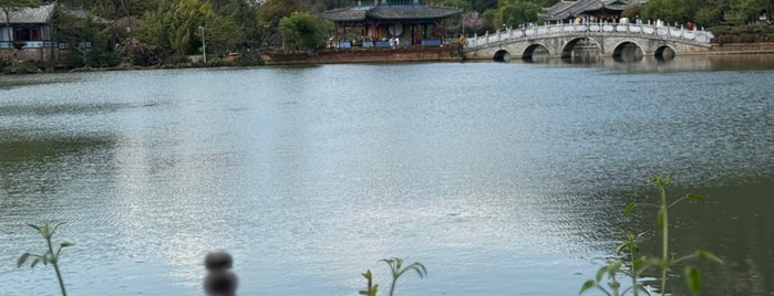 Black Dragon Pool is one of place n food in China.