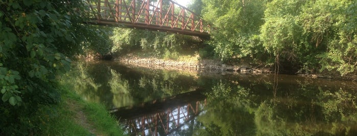 Half Day Forest Preserve is one of Locais curtidos por Wesley.